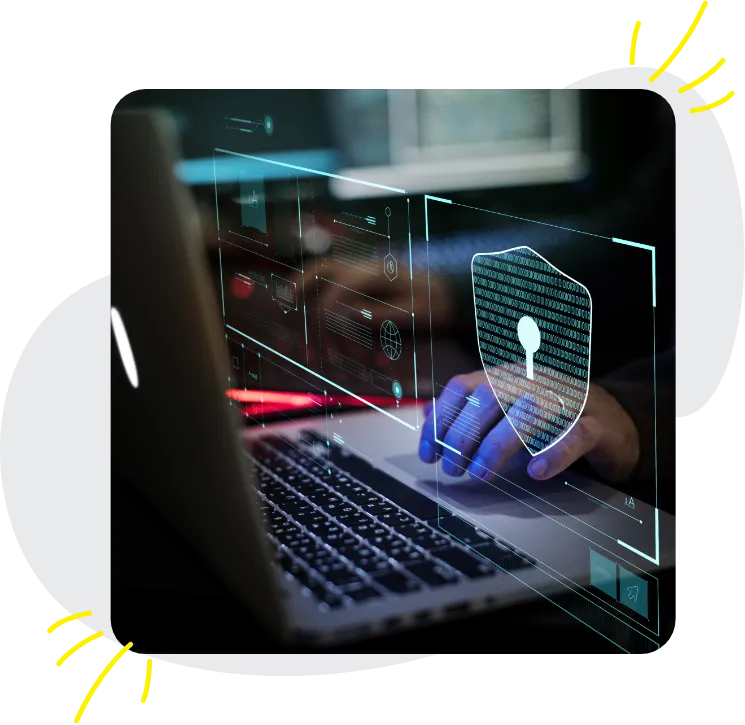 Native Web Designers
